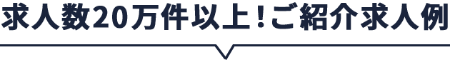 求人数10万件以上！ご紹介求人例