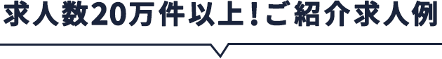 求人数10万件以上！ご紹介求人例